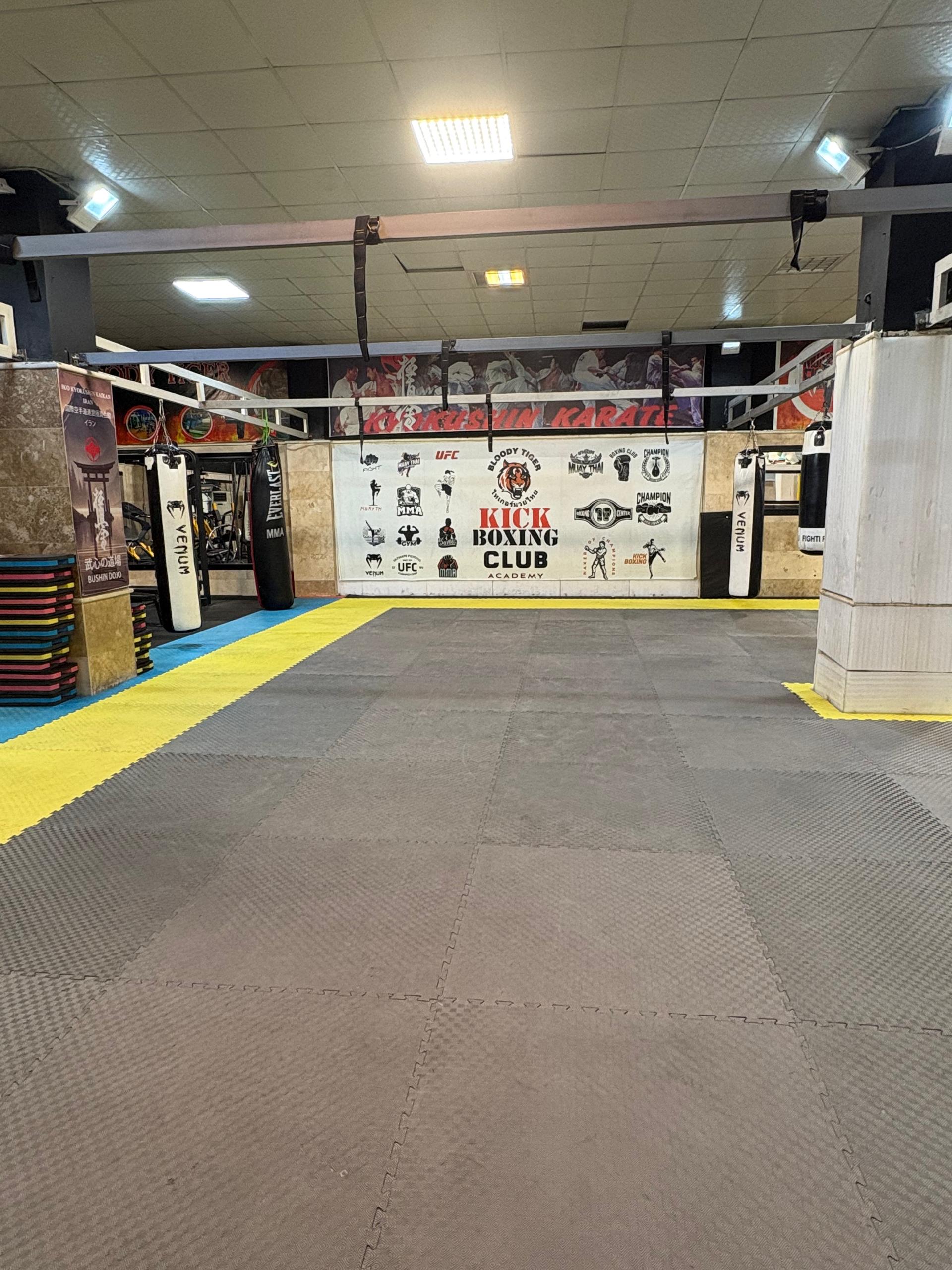 مجموعه ورزشی شهید محمود آبادی