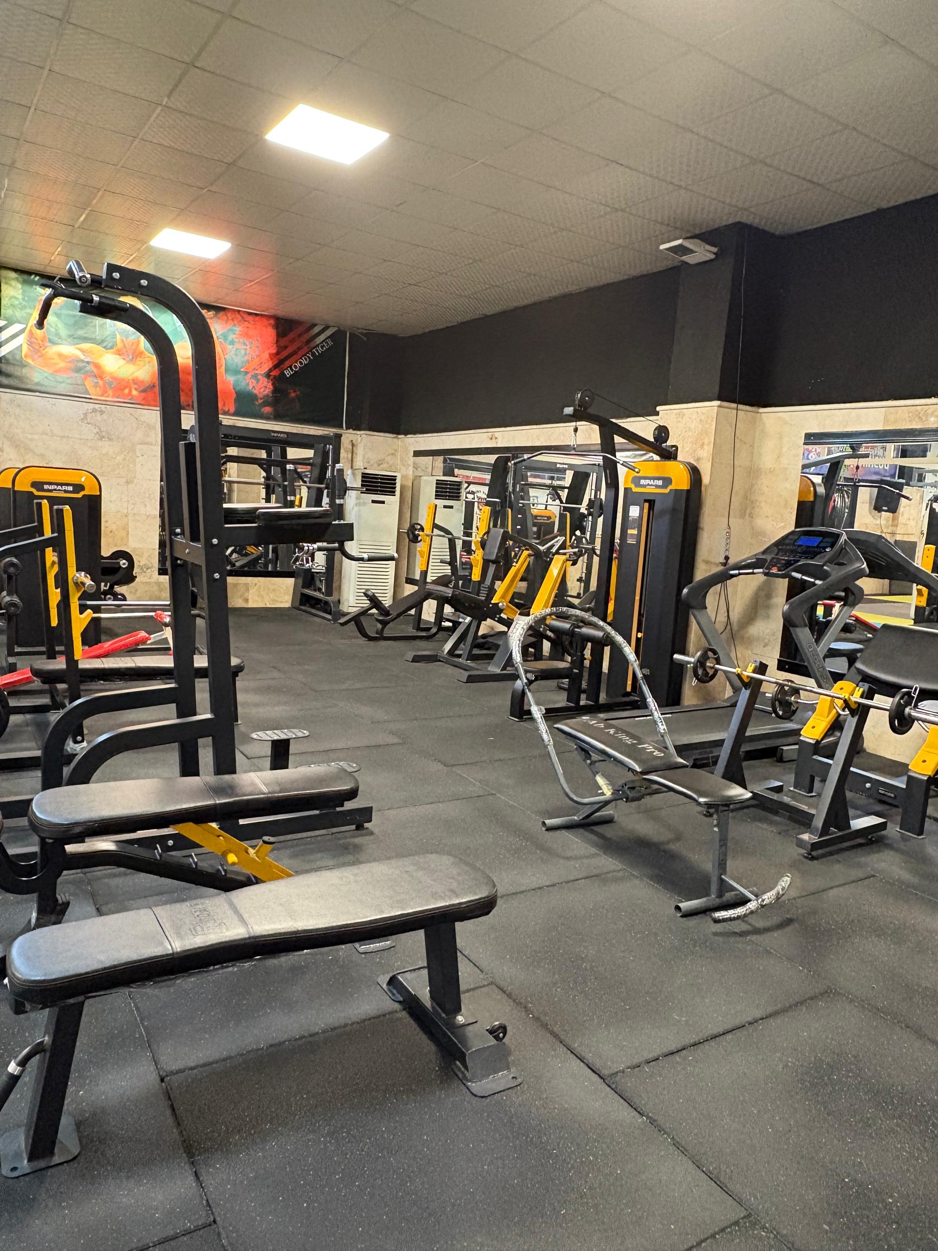 مجموعه ورزشی شهید محمود آبادی